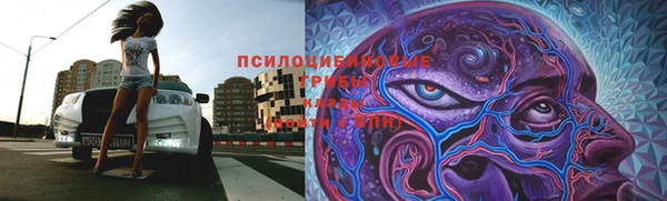 ECSTASY Новодвинск