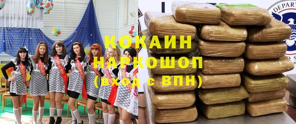 индика Армянск